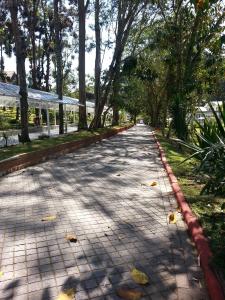 een weg met bomen aan de zijkant bij Villagio Embu in Embu