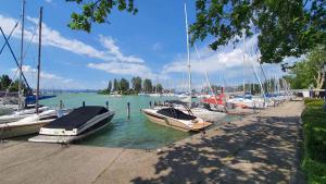 a bunch of boats are docked in a harbor at Holiday home in Balatonföldvar 18543 in Balatonföldvár