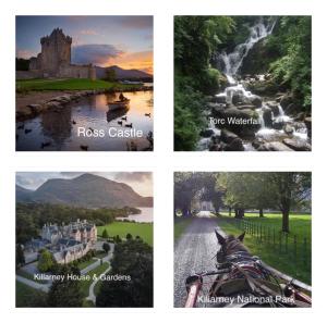 a collage of four pictures of a river and a castle at Country View House in Milltown