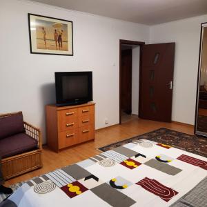 een woonkamer met een tv en een bank en een tapijt bij SUNRISE in Boekarest