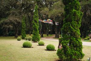 un jardin avec des buissons et des parasols dans un parc dans l'établissement Pousada Röhsler, à Monte Verde