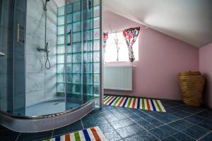 uma casa de banho com um chuveiro e uma cabina de duche em vidro. em Dom na Starym Gościńcu Tiszyna em Dubicze Cerkiewne