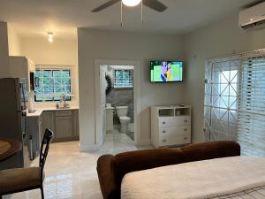 a living room with a couch and a tv on the wall at Luxury Studio Rooftop Pool n View unit #4 in Falmouth