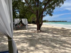 A beach at or near the holiday home