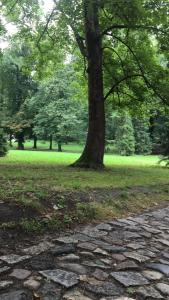 ein Baum und ein Steinweg in einem Park in der Unterkunft Jasmine Studio in Radom