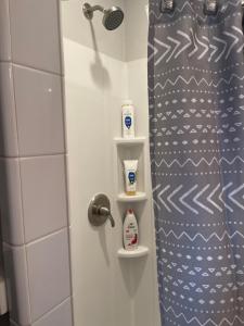 baño con puerta de ducha y una botella de lejía en OU-2 bed 2 bath apartment close to OU en Oklahoma City