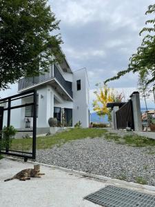 un gatto steso per terra di fronte a una casa di 木木宿宿MUMUsusu-stay只接待成年者一無包棟服務 a Città di Taitung