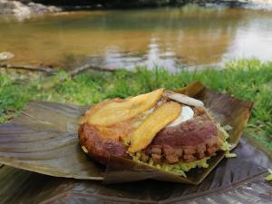 a sandwich with fries on a plate next to a river at Finca Hotel La Vida es un Paseo in San Carlos