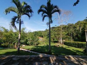 een groep palmbomen in een park bij Finca Hotel La Vida es un Paseo in San Carlos