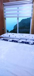a bed in a room with a window with birds on it at CABAÑA MIRADOR in Quemchi
