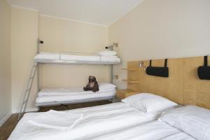 a room with two bunk beds with a dog sitting on them at Hotel Copenhagen Apartments in Copenhagen