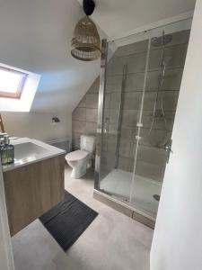 a bathroom with a shower and a sink and a toilet at Gevrey-Chambertin au coeur du village in Gevrey-Chambertin