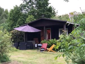 un parasol et deux chaises devant une maison dans l'établissement Vedru Puhketalu, à Väike-Rakke