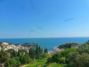 Foto dalla galleria di Apartment Djakonovic Mladen a Ulcinj