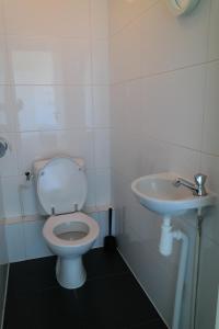 a bathroom with a toilet and a sink at Dolfijn, Wijk de Brabander 92 in Cadzand