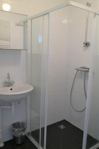 a bathroom with a shower and a sink at Dolfijn, Wijk de Brabander 92 in Cadzand