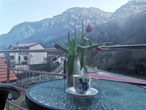 山景或在民宿看到的山景