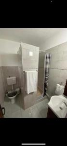 a bathroom with a shower and a toilet and a sink at Pensiunea BELVEDERE YACHTCLUB Berzasca in Berzasca