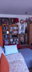 a living room with a bed and book shelves with books at Ferienwohnung Jarenatanne in Stockach +4 photos