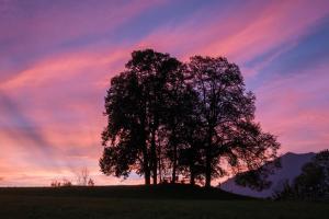 Fotografie z fotogalerie ubytování Kaiser Franzl v destinaci Bad Ischl
