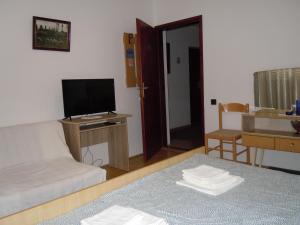 TV a/nebo společenská místnost v ubytování Apartmani Sobe BILJANA