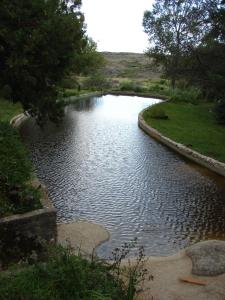 un pequeño estanque de agua con árboles y césped en Espejo Escondido in 