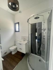 a bathroom with a shower and a toilet at Le Photinia in Le Bugue