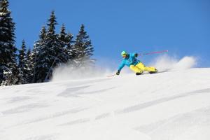 Lyžování v apartmánu nebo okolí