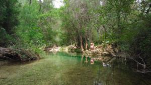 Zdjęcie z galerii obiektu Kampaoh Cazorla w mieście El Valle