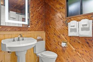 a bathroom with a sink and a toilet and a mirror at Cozy Creek Cabin - On Austin Creek Hot Tub - Dog Friendly - BBQ Grill - Fast WiFi in Cazadero +29 photos