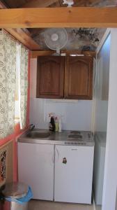 a small kitchen with a sink and a stove at Guesthouse Ursic in Selca