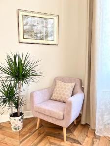une chaise dans un salon avec une plante dans l'établissement Appartement d exception 100m2 avec Parking - Centre historique, à Chambéry