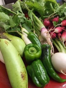 una pila de verduras en un plato rojo en Dougoya en Matsuyama