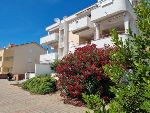 a building with red flowers in front of it at SUNNY BALCONY TERRACE Apartment in Novalja
