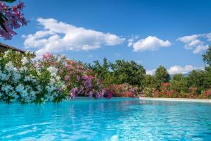 a pool of water with flowers and trees at Amata Valgre Affittacamere, comfort e pulizia eccezionali!! in Olginate