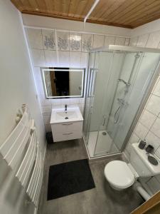 W łazience znajduje się prysznic, toaleta i umywalka. w obiekcie Magnifique Studio de 20m2 pour 1 à 4 personnes w mieście Les Rousses