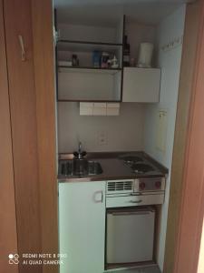 Haus Zerfreila tesisinde mutfak veya mini mutfak