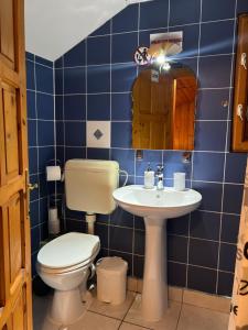 a blue tiled bathroom with a toilet and a sink at Cabana dintre Brazi in Mintia +64 photos
