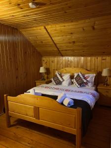 1 dormitorio con 1 cama grande en una cabaña en Cabana dintre Brazi, en Mintia