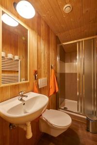 ein Bad mit einem Waschbecken, einem WC und einer Dusche in der Unterkunft Volarská roubenka in Volary