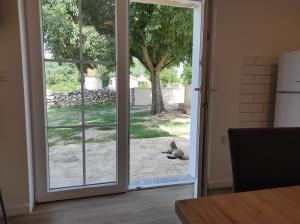 une porte ouverte avec un chat posé au sol dans l'établissement Joy I, à Šibenik