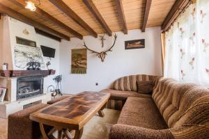 a living room with a couch and a table at Osada Ostoja in Radziejowa