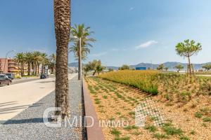 een palmboom aan de kant van een straat bij уютный дом in Empuriabrava