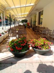 dois grandes potes de flores num pátio com mesas e cadeiras em Hotel Ribot em Rimini