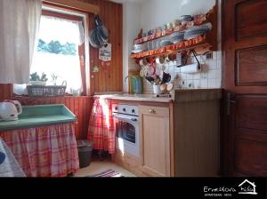 Kuchyň nebo kuchyňský kout v ubytování Apartment Ernestova hiša
