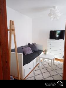 TV a/nebo společenská místnost v ubytování Apartment Ernestova hiša