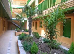 a courtyard of a building with palm trees and plants at Vistas al mar playa Eucaliptus, con solarium privado in L'Eucaliptus