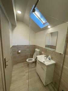 a bathroom with a toilet and a sink and a mirror at Mountain Heart House in Bosanski Petrovac +33 photos