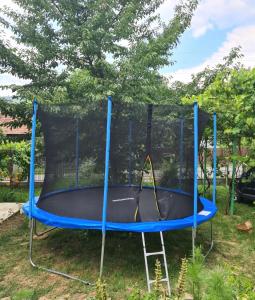 a trampoline in a yard with a tree at Casa Hera in Călimăneşti