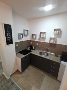 a small kitchen with a sink and a counter at White House NS in Novi Sad +41 photos